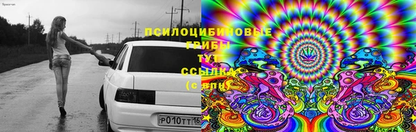 шишки Вязники