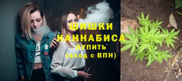 мдпв Вяземский